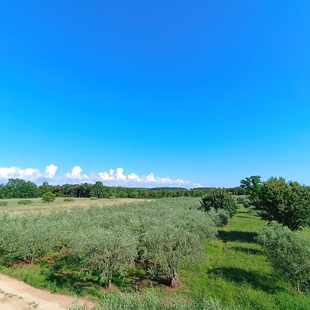 Apartman Ika Umag Exteriör bild